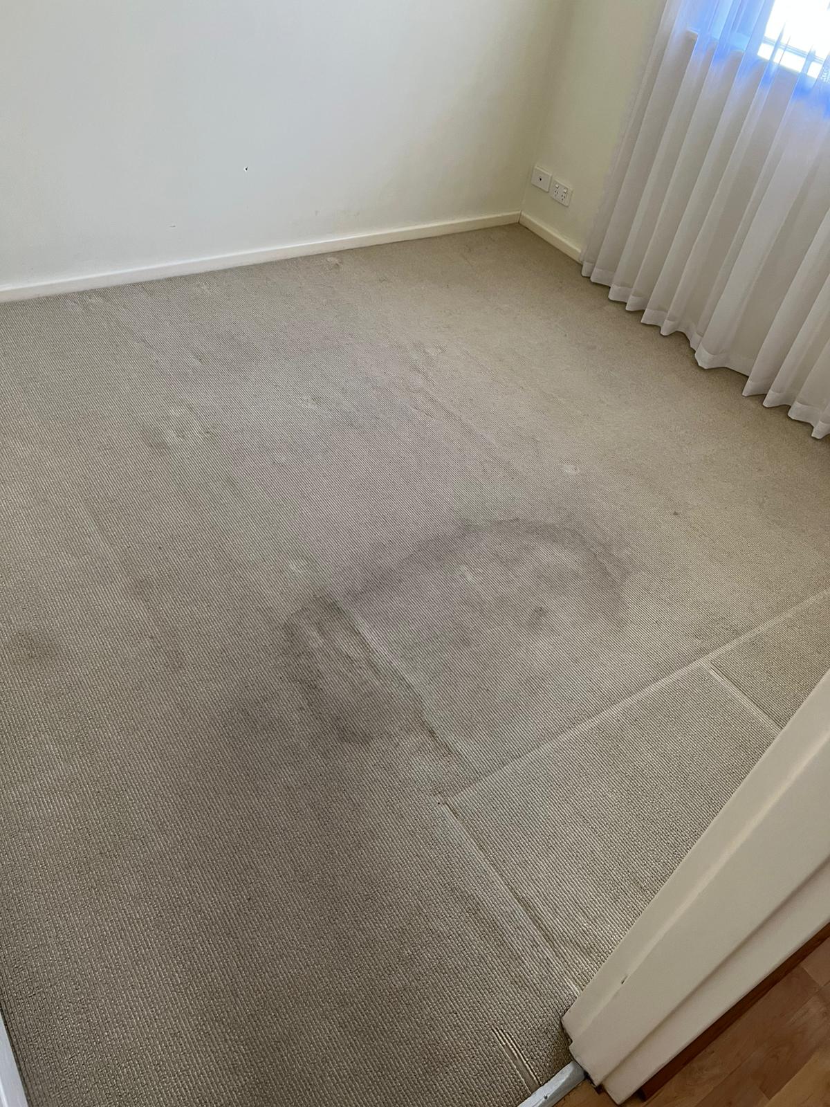 Carpet before