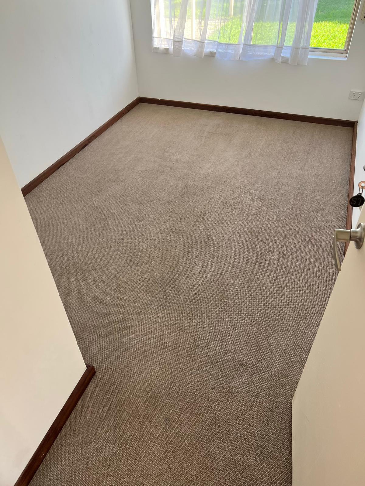 Carpet after