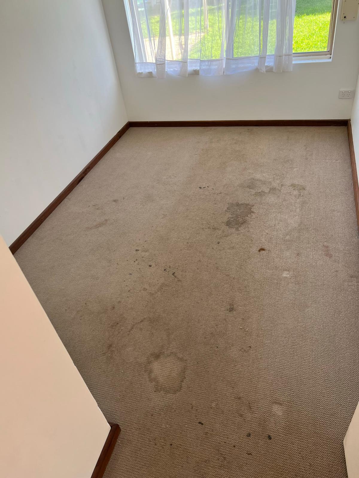 Carpet before